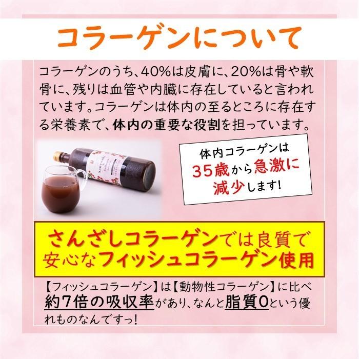 さんざし6本と同額！ サンザシドリンク 5本 さんざしコラーゲン 1本 計6本 S5C1P1 飲み比べ ビタミンC さんざし 美容ドリンク 健康ドリンク セット BP |  | 05