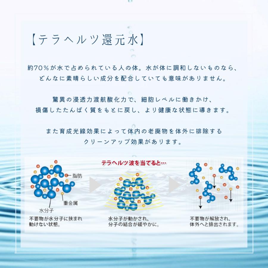 フローラマスク ヘアトリートメント　レフィル 1000ml フローラ マスク トリートメント 詰替 1000g FLORA HAUTE
