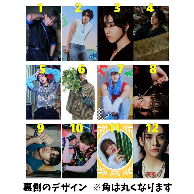 K-POP グッズ Stray Kids ストレイキッズ トレカ 風 フォト K-POP グッズ Stray Kids ストレイキッズ トレカ 風 フォト