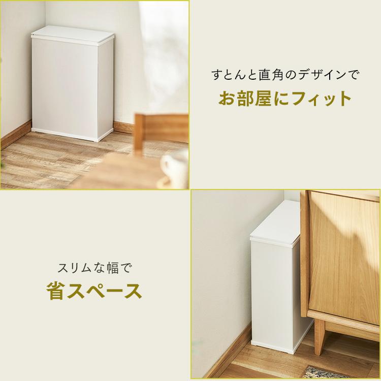 ゴミ箱 おしゃれ 北欧 30L 30リットル 分別 ごみ箱 シンプル コンパクト キッチン リビング STPL-30 ブラック ホワイト アイリスオーヤマ｜ladybird6353｜03