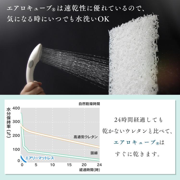 IRIS OHYAMA（アイリスオーヤマ） マットレス シングル 洗える 低反発