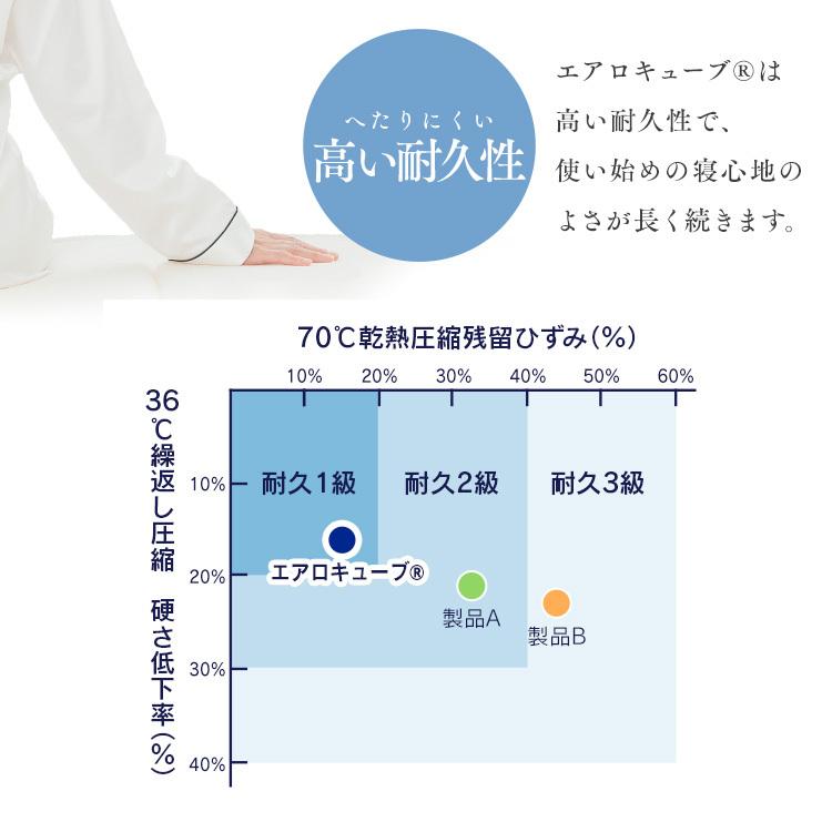 IRIS OHYAMA（アイリスオーヤマ） マットレス シングル 洗える 低反発