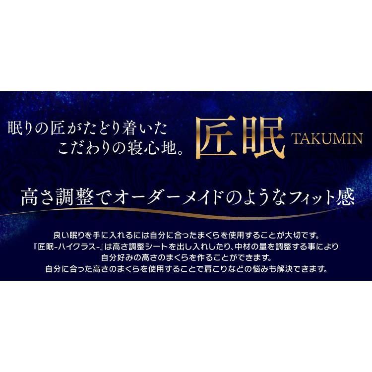 枕 まくら 洗える 高さ調節 肩こり 横向き ピロー 匠眠 ハイクラスピロー M ソフト ハード PE4S-3757 アイリスオーヤマ | IRIS OHYAMA | 01