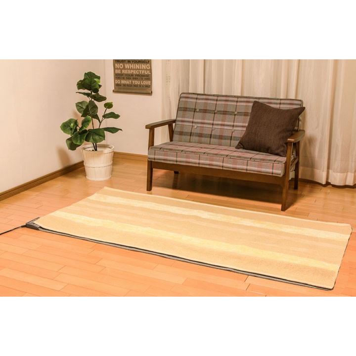 IRIS OHYAMA ホットカーペット 1畳 電気カーペット 本体 ダニ