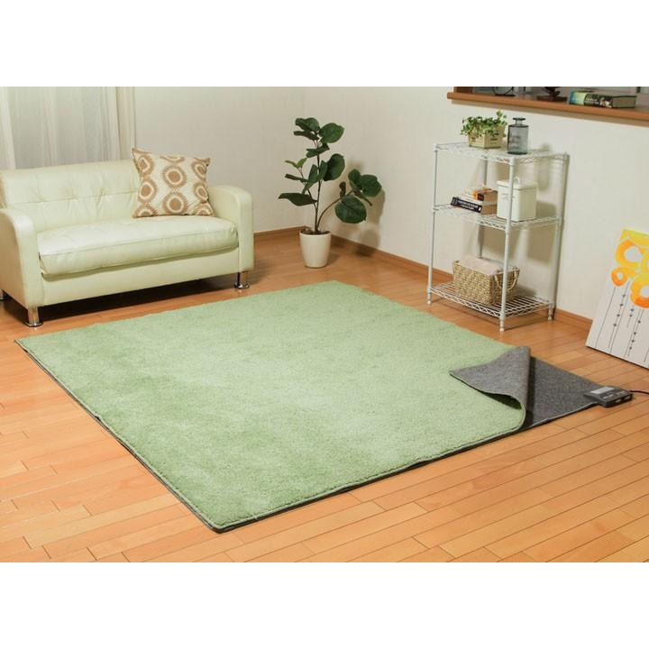 IRIS OHYAMA（アイリスオーヤマ） ホットカーペット 2畳 ダニ退治 温度