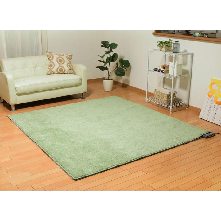 IRIS OHYAMA（アイリスオーヤマ） ホットカーペット 2畳 ダニ退治 温度