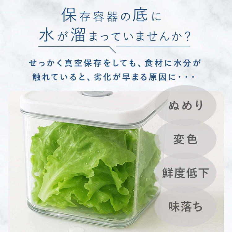 真空保存容器 BPAフリー 密閉 自動 電動真空 食洗機対応 冷凍庫対応