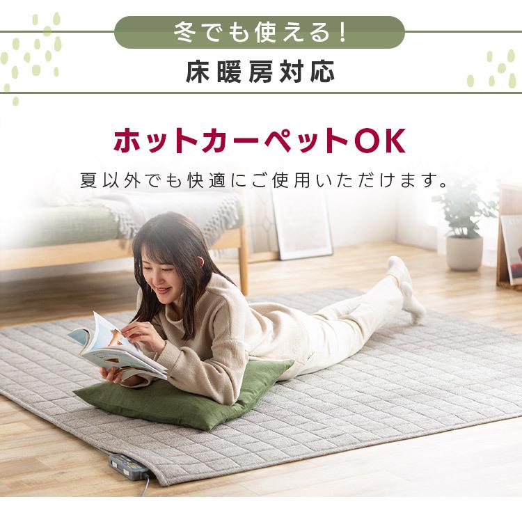 ラグ 洗える 3畳 夏 おしゃれ 北欧 涼感 ラグマット センターラグ 手洗いOK 185×240cm 麻混ラグ アイリスオーヤマ ORG-A1824