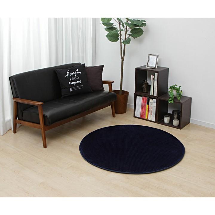 IRIS OHYAMA（アイリスオーヤマ） ラグ カーペット 玄関マット マット