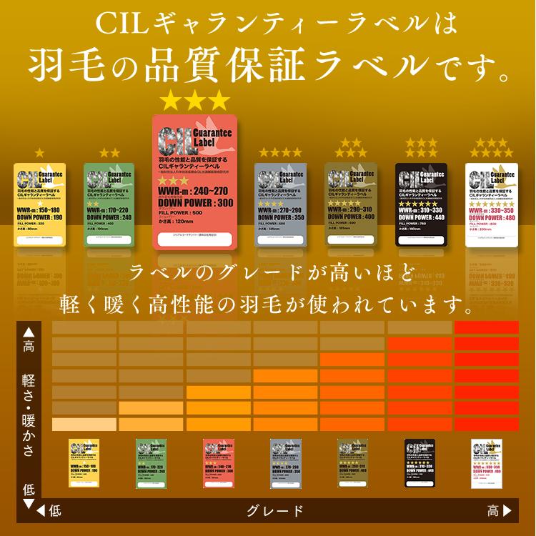 羽毛布団 シングル 冬 日本製 新生活 シングルロング 掛け布団 羽毛 布団 ホワイトダックダウン 抗菌 90% 1.0kg【TD】 【代引不可】｜ladybird6353｜12