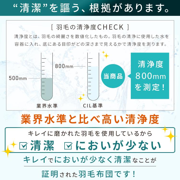 羽毛布団 セミダブル 冬 日本製 羽毛掛け布団 掛け布団 軽い 暖かい ホワイトダックダウン85％ 1.0kg セミダブル PAX23RP5334｜ladybird6353｜08