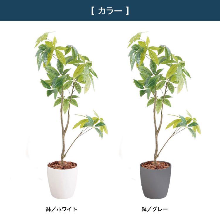 観葉植物 パキラ 23027 (代引不可)(TD) : SIMPLE STYLE ヤフー店