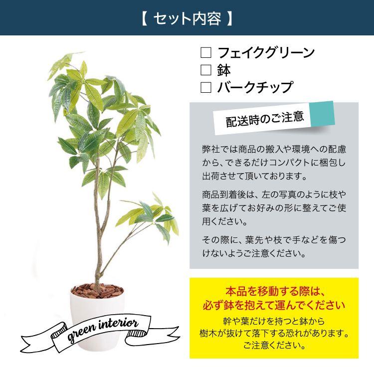 観葉植物 パキラ 23027 (代引不可)(TD) : SIMPLE STYLE ヤフー店
