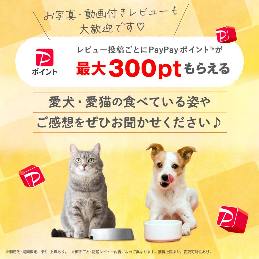Mog Wan（モグワン） 公式 ドッグフード チキン＆サーモン （5kg） 全