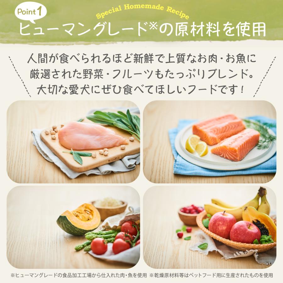 Mog Wan（モグワン） 公式 ドッグフード チキン＆サーモン （5kg） 全