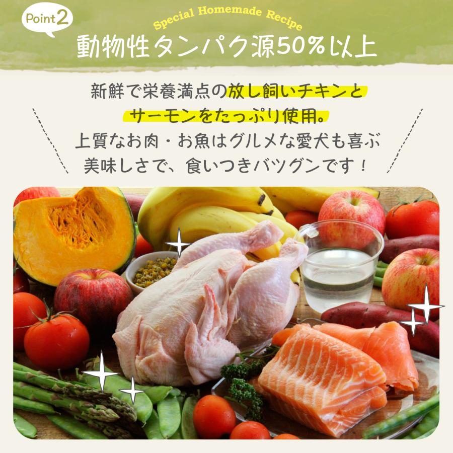 Mog Wan（モグワン） 公式 ドッグフード チキン＆サーモン （5kg） 全