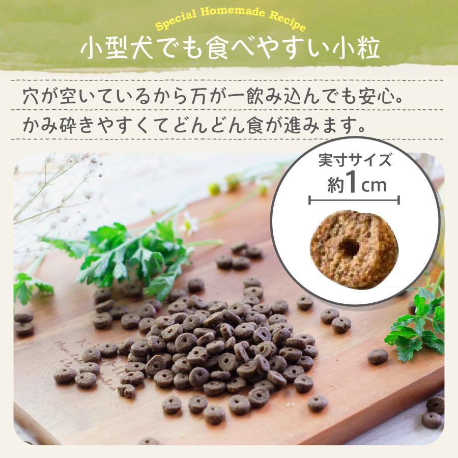 Mog Wan（モグワン） 公式 ドッグフード チキン＆サーモン （5kg） 全
