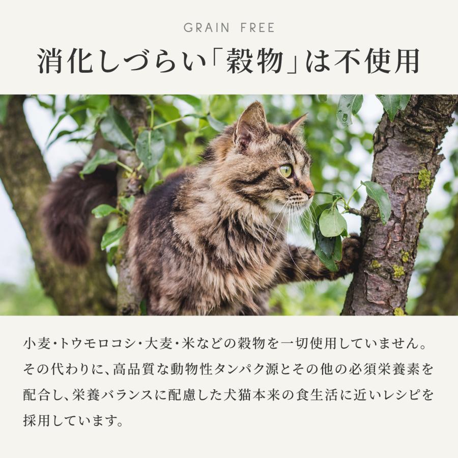 CANAGAN（カナガン） 公式 キャットフード チキン （1.5kg） 全猫種 全