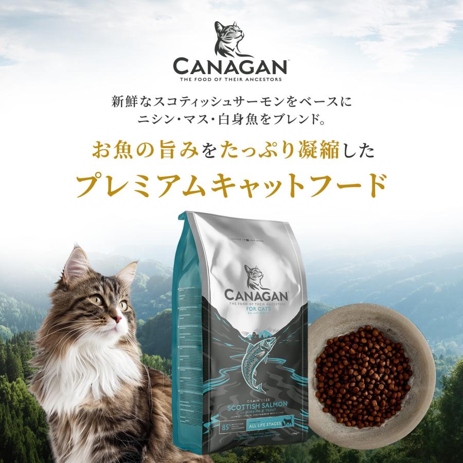 CANAGAN（カナガン） 公式 キャットフード サーモン （1.5kg） 全猫種