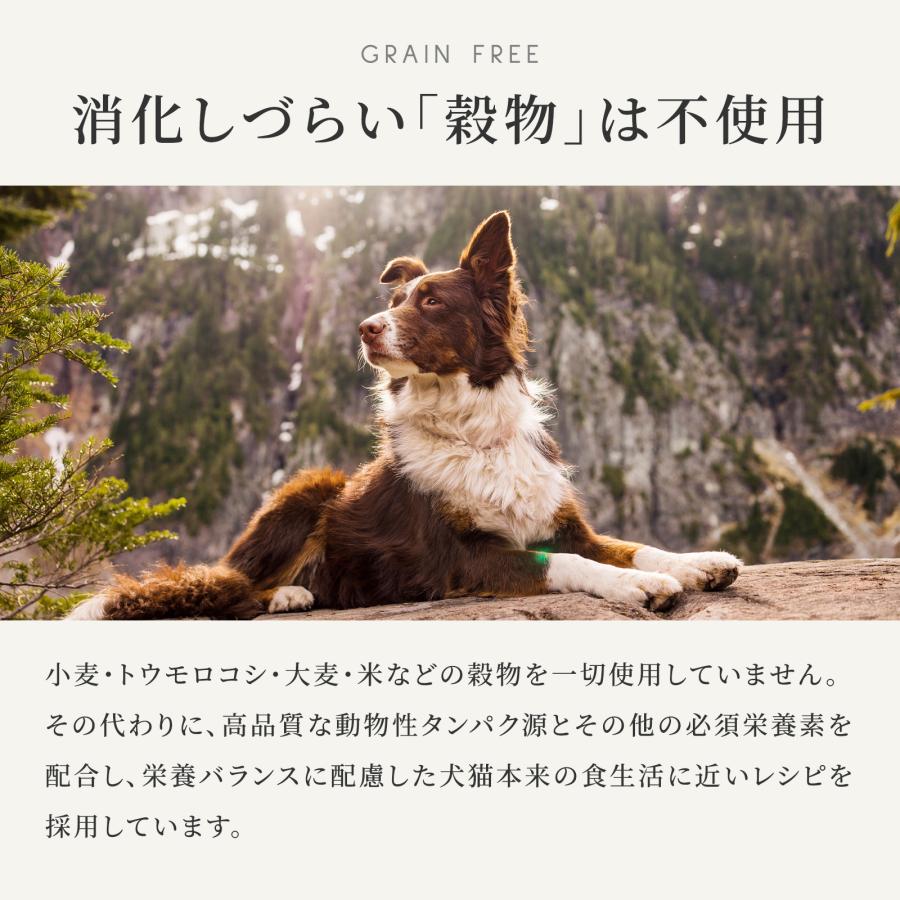 CANAGAN（カナガン） 公式 ドッグフード チキン （2kg） 全犬種 全年齢