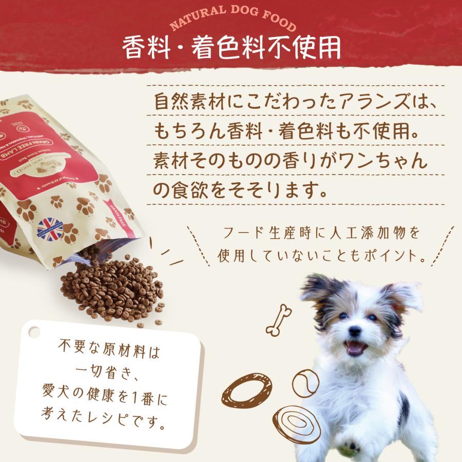 アランズナチュラルドッグフード ラム 2kg NATURAL DOG FOOD COMPANY 公式 アランズ ナチュラルドッグフード ラム