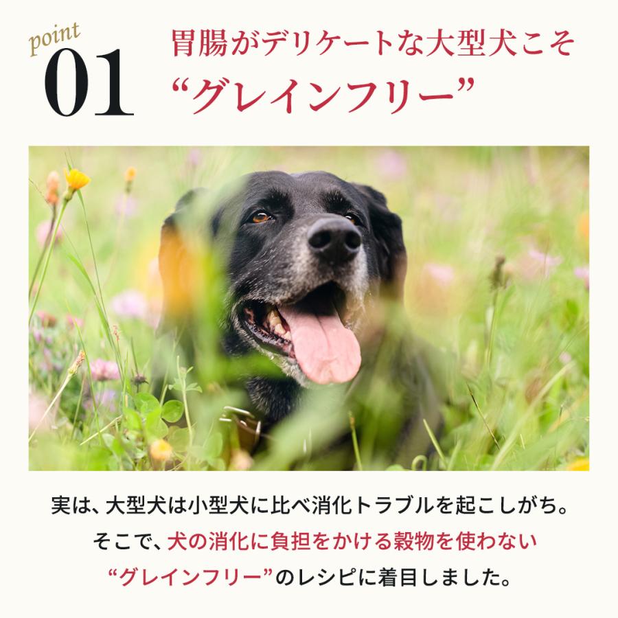 nelsons（ネルソンズ） 公式 ドッグフード 大型犬用 （10kg） 大型犬