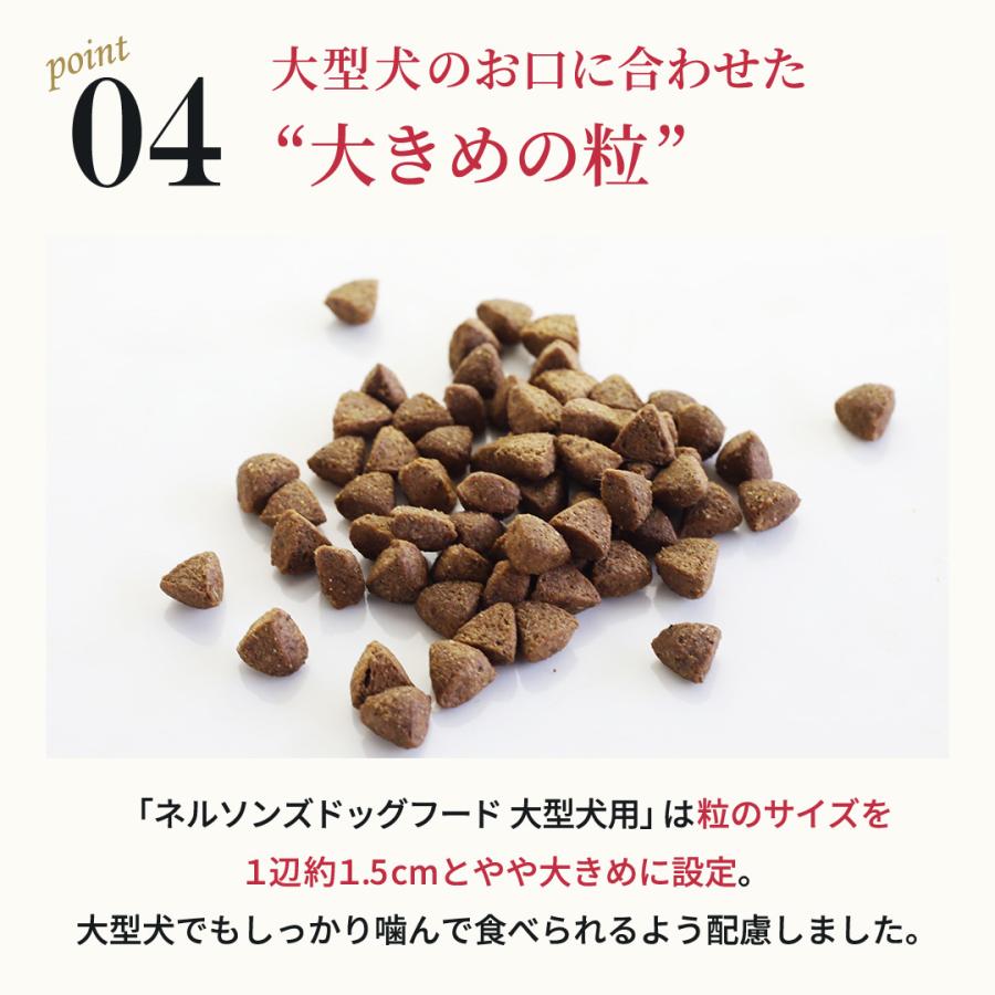 nelsons（ネルソンズ） 公式 ドッグフード 大型犬用 （10kg） 大型犬 