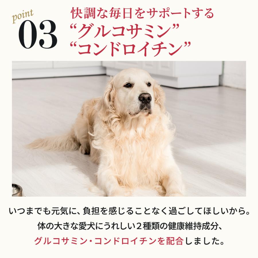 nelsons（ネルソンズ） 公式 ドッグフード （5kg） 全犬種 全年齢対応