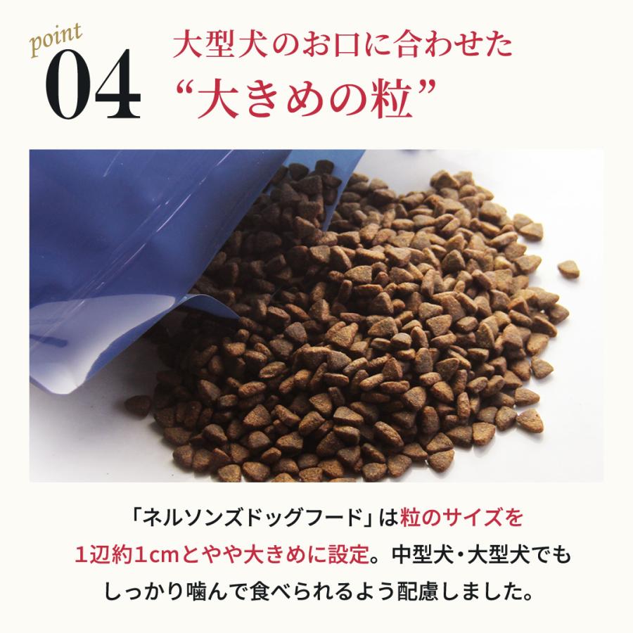 nelsons（ネルソンズ） 公式 ドッグフード （5kg） 全犬種 全年齢対応