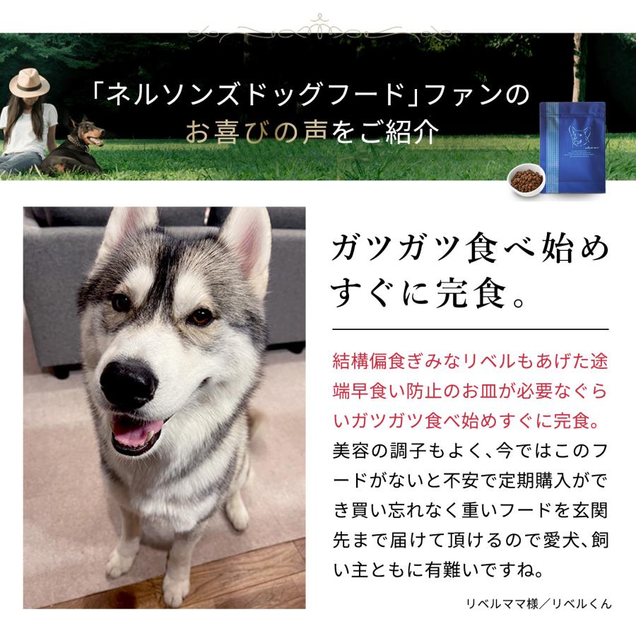 nelsons（ネルソンズ） 公式 ドッグフード （5kg） 全犬種 全年齢対応
