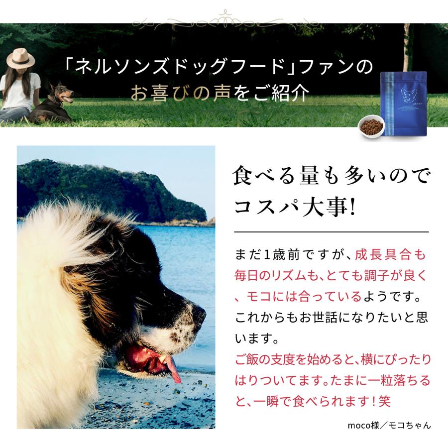 ネルソンズドライフード 犬用　5kg nelsons（ネルソンズ） 公式 ドッグフード （5kg） 全犬種 全年齢対応