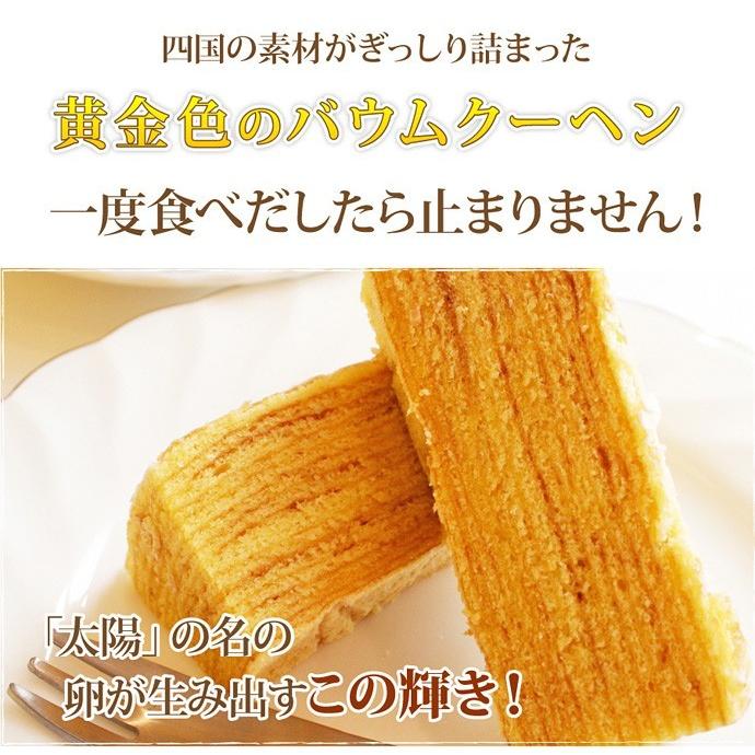 お中元 誕生日 プレゼント お中元ギフト 2026 ギフト スイーツ アイス アイスケーキ アイス ブリュレ バウム （おのし包装不可） | フランス菓子工房 ラ・ファミーユ | 08