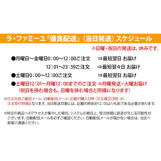 お中元 誕生日 プレゼント お中元ギフト 2026 ギフト スイーツ アイス アイスケーキ アイス ブリュレ バウム （おのし包装不可） | フランス菓子工房 ラ・ファミーユ | 16