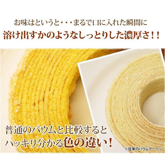 お中元 誕生日 プレゼント お中元ギフト 2026 ギフト スイーツ アイス アイスケーキ アイス ブリュレ バウム （おのし包装不可） | フランス菓子工房 ラ・ファミーユ | 04