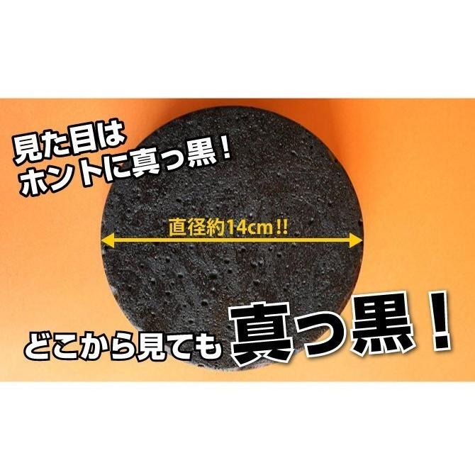 【ヤフショオリジナル】ティラミス の まっ黒 チーズケーキ プレゼント ギフト ケーキ 誕生日 真っ黒チーズケーキ お取り寄せ スイーツ お菓子 ラ・ファミーユ ポイント利用 | フランス菓子工房 ラ・ファミーユ | 02