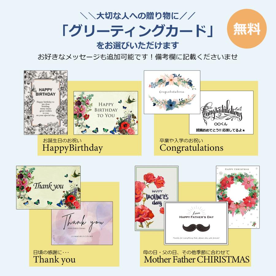 石井/MUZICA VITA(ムジカヴィータ)】【18色展開】豚革 石井/MUZICA VITA(ムジカヴィータ)】【18色展開】豚革