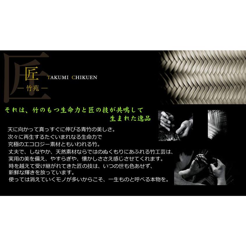 藤 四つ目編みバッグ 赤 緑 紐手 手提げバッグ 匠 Chikuen 箱入れ 竹工房オンセ 毛利健一作 バッグ バック カゴバッグ カゴ バッグ 竹苑 パリコレクション Tiku4126 革 財布 バッグ専門店 ラファン 通販 Yahoo ショッピング