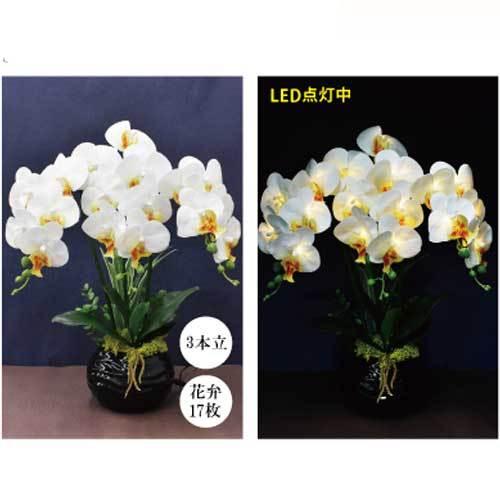 ポピー名古屋 Led胡蝶蘭 アレンジフラワー ミディアムサイズ コンパクトサイズ フラワー 横 胡蝶蘭 フラワーアレンジメント ギフト プレゼント 花 Xyz 335 Popi 革 財布 バッグ専門店 ラファン 通販 Yahoo ショッピング