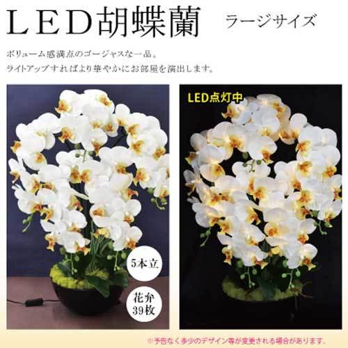 メール便なら送料無料 ポピー名古屋 Led胡蝶蘭 アレンジフラワー ラージサイズ フラワー 横 胡蝶蘭 フラワーアレンジメント ギフト プレゼント 花 気質アップ Esiba Tg
