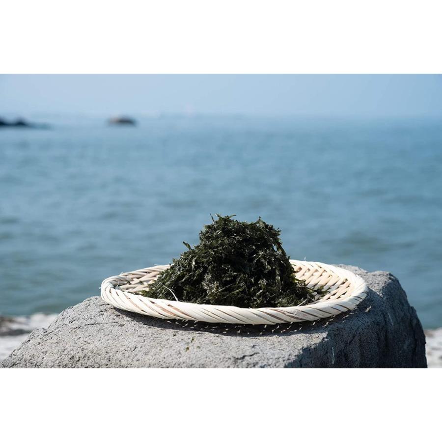 Sale 56 Off 錦鯉１３ｃｍ紅藍衣 性別不明ですｎｏ0581 Dprd Jatimprov Go Id