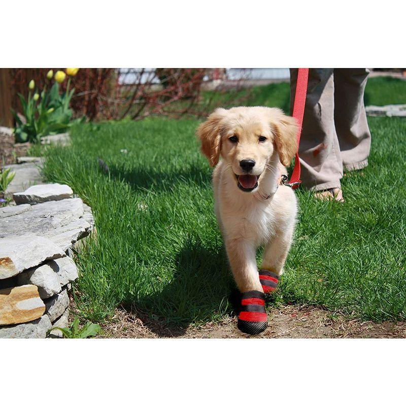 62 以上節約 マットルックス ホットドッガーズ S 犬 ブーツ フリース布地 レッド サイズ Shipsctc Org