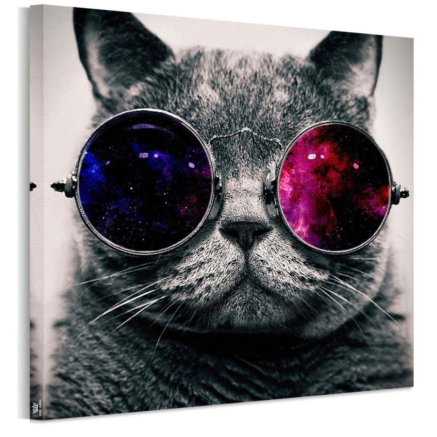 Sale アートパネル完成品 フォトフレーム 猫 かわいい インテリア 雑貨猫 壁キャンバス絵画 猫 インテリア 動物 50 50cm 1 B01lsnbtt8 Lafeuilleヤフー店 通販 Yahoo ショッピング