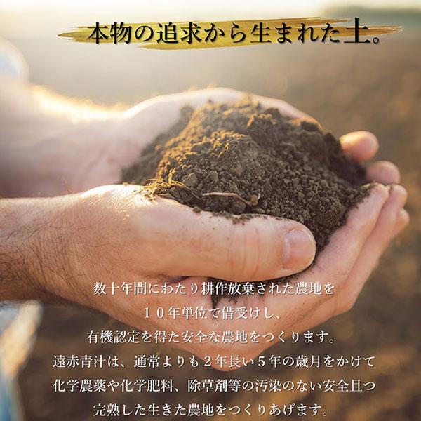 遠赤青汁 V1 SUPPER GOLD 1250粒 ビン 3箱セット 遠赤ケール＋有機黒にんにく＋酵素液 納豆菌・乳酸菌・酵母菌 1411-3の画像
