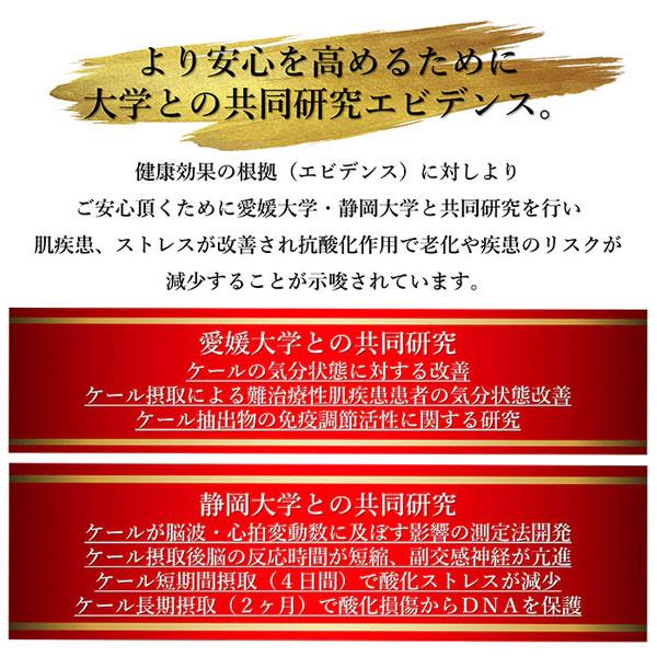 遠赤青汁 V1 SUPPER GOLD 1250粒 詰替用 3袋セット 遠赤ケール＋有機黒にんにく＋酵素液 納豆菌・乳酸菌・酵母菌 1412-3の画像