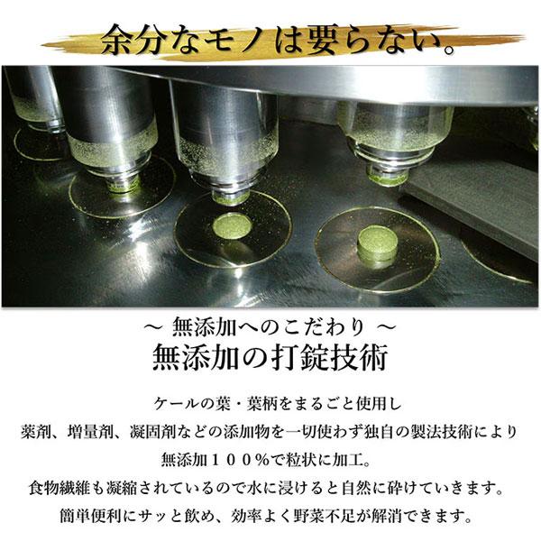 遠赤青汁 V1 DX 1250粒 詰替用 5袋セット＋1袋サービス 合計6袋お届け 有機ケール＋天然ゼオライト 1511-5の画像