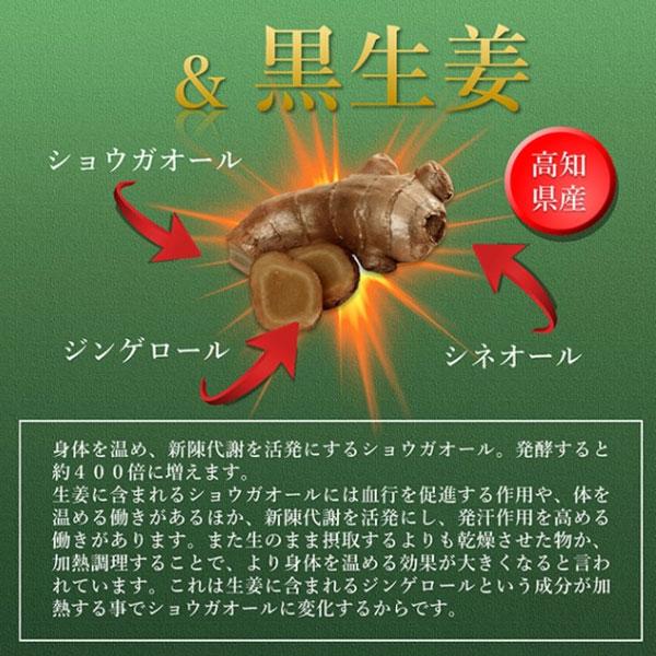 遠赤青汁 V1 SUPPER GOLD EX 1500粒 詰替用 2袋セット 1611-2の画像
