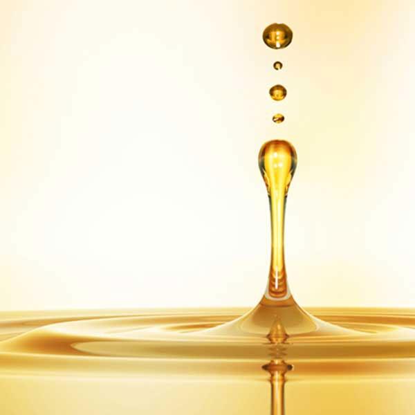 PDS MATRIX NMN-X マトリックス ヒトサイタイ間葉幹細胞順化培養液 コラーゲン ヒアルロン酸 エラスチン ヒト幹細胞 美容液 | ブランド登録なし | 03