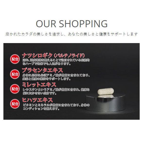 DDS SUPPLEMENT SP100 POWER パワーサプリメント 60粒 頭皮環境 DDS SUPPLEMENT SP100 POWER パワーサプリメント 60粒 頭皮環境