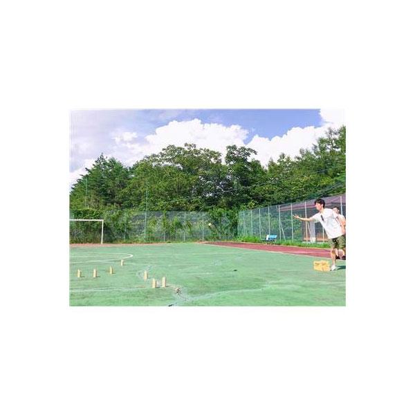 エバニュー Evernew モルック エバニューセット 得点板付き EKC101 アウトドアスポーツ 公式認可 | EVERNEW | 01