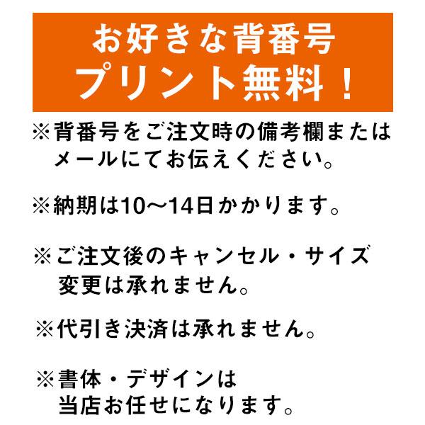 背番号プリントサービス カンタベリー canterbury ラグビー日本 背番号プリントサービス カンタベリー canterbury ラグビー日本
